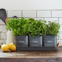 Burgon & Ball Square Enamel Herb Pots with Tray, Charcoal Grey, Set of 3